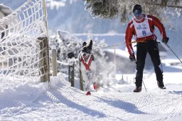 Lenk 2013